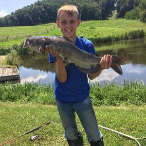 Meet your Posher, Jonathan